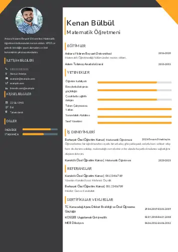 cv indir